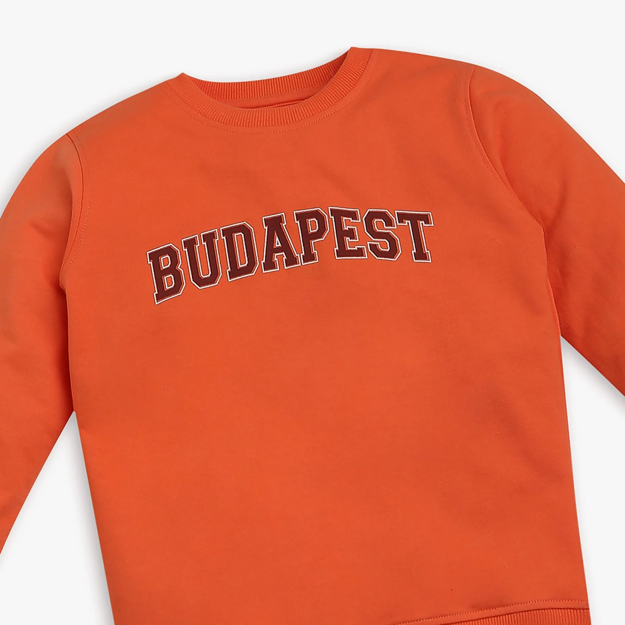 Boy's Regular Fit Printed Sweat Tees