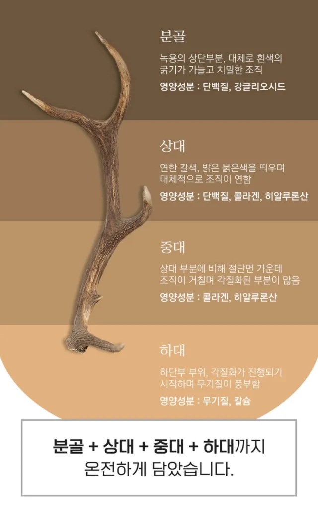 SANGA Deer Antler Korean Red Ginseng Extracts Mild 4 Bottles 6 year Health Supplements Immunity Fatigue Improvement Memory Gifts Drinks Mixed